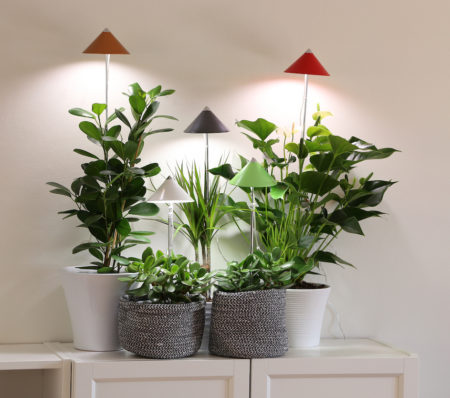 iluminación led plantas