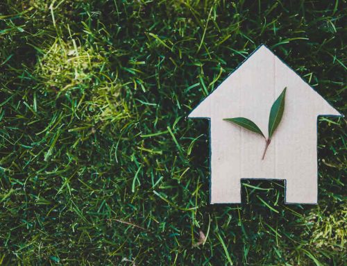 Cómo tener una casa sostenible: 5 consejos