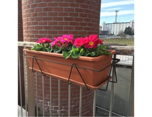Las mejores plantas con flores para balcones