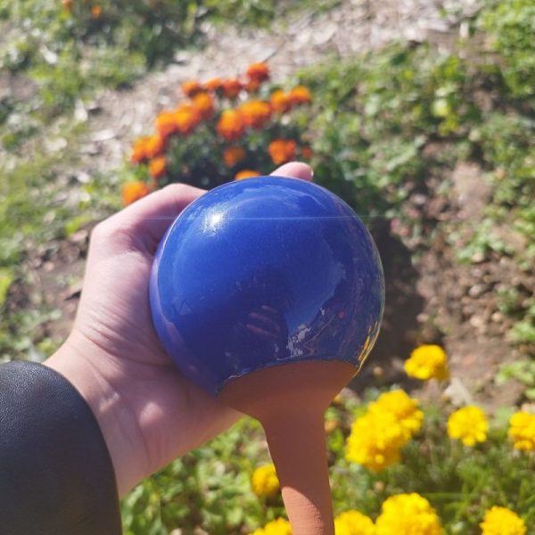 OLLAS PLANTAR AZUL 1