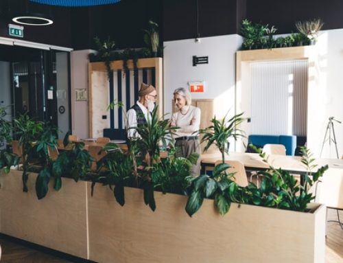¿Cómo decorar oficinas con plantas?