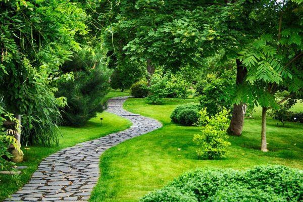 caminos de piedra Caminos de piedra