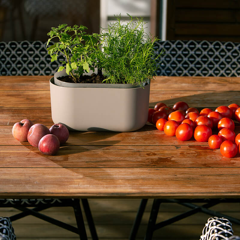 TOLITA-AIR-JARDINERA-GRIS-PARDO-MESA-web maceta autorriego plantas aromáticas tolita