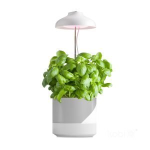 luz de cultivo led para plantas 5w espectro completo