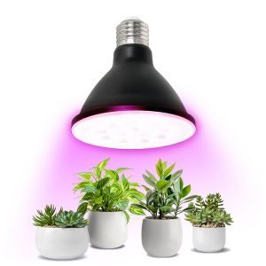 Bombilla LED crecimiento plantas PLANTY B 9W negra