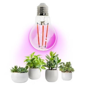 Bombilla LED crecimiento plantas PLANTY FGS 8W