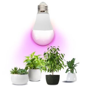 Bombilla LED crecimiento plantas PLANTY GS 11W