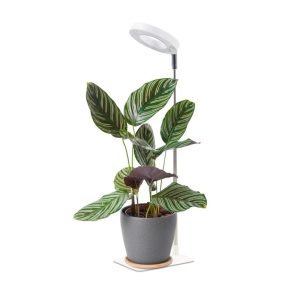 lámpara led para plantas de interior color blanco usb