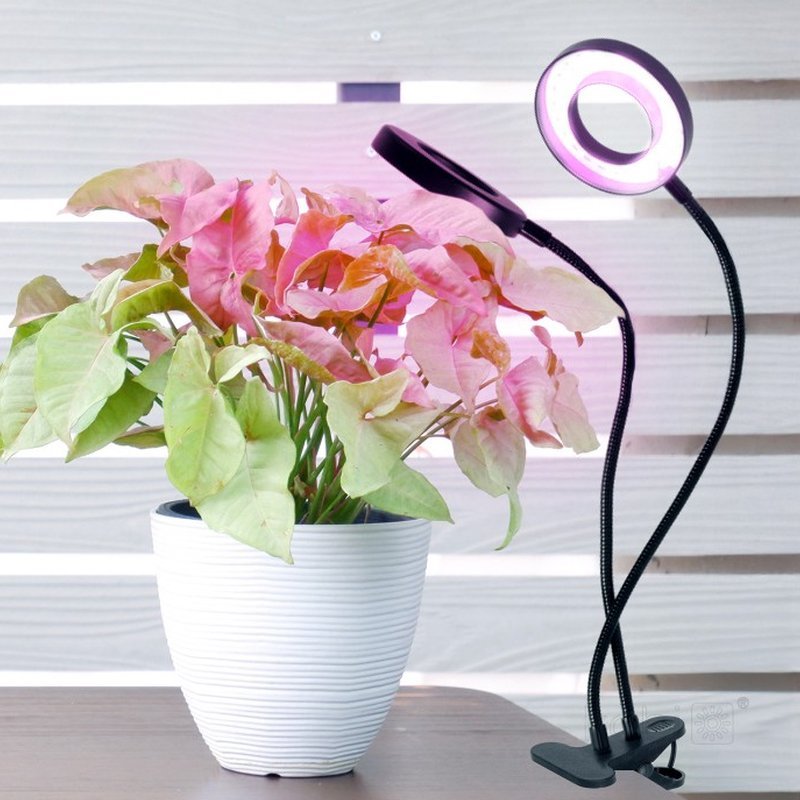 KOBI LED VITARO RING 2 CLIP 8W 1