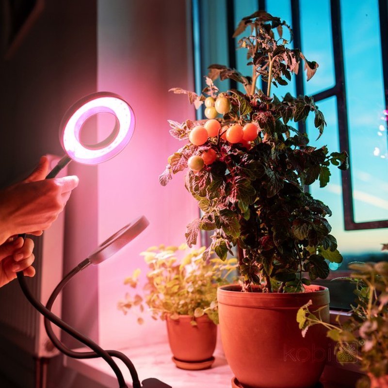 KOBI LED VITARO RING 2 CLIP 8W 2