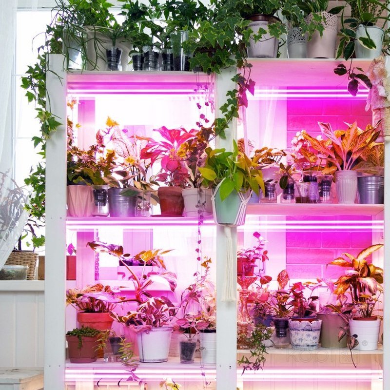 KOBY LED GROWLY 2x8,5W 2