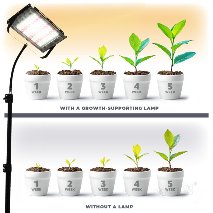 led-grow-lamp-led-firon-45w-kobi-design-58eef055e9e24287bf7ba3da3f63a284-bef3ea8c