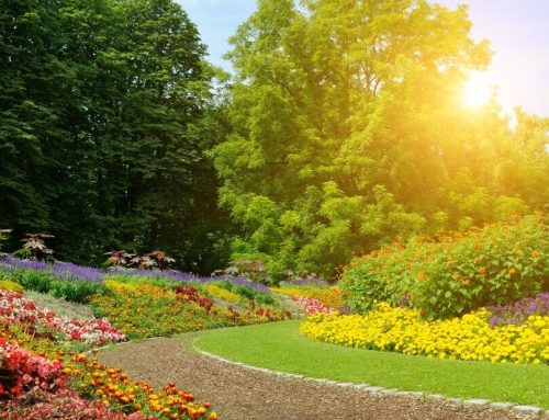 5 estilos de jardines y consejos prácticos para este 2026