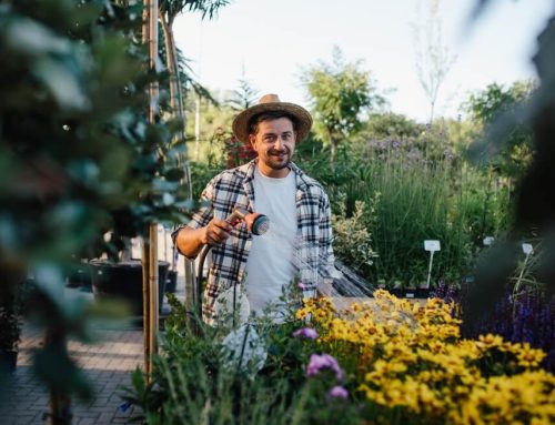 Cómo conseguir un jardín más fresco: técnicas y soluciones prácticas para combatir el calor